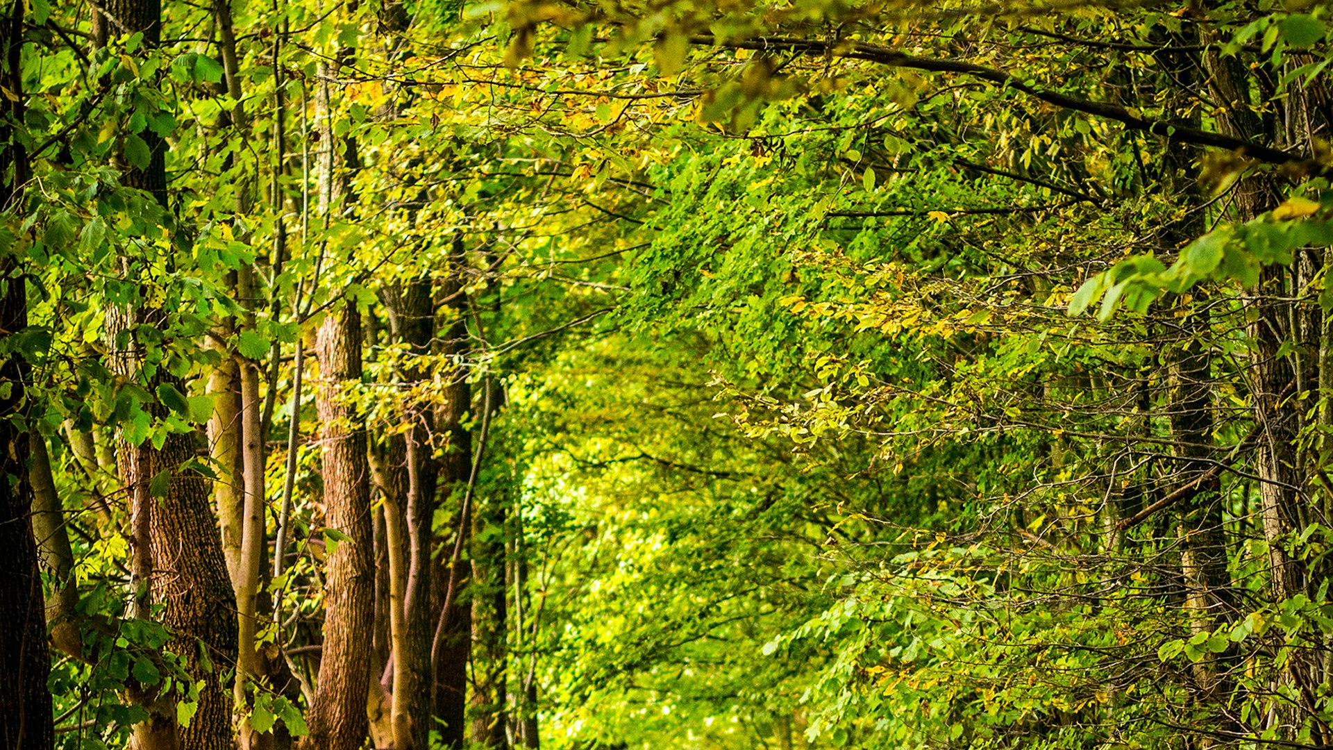 a8b8506d-b7cc-40ab-8d7d-8bbc6e82d138