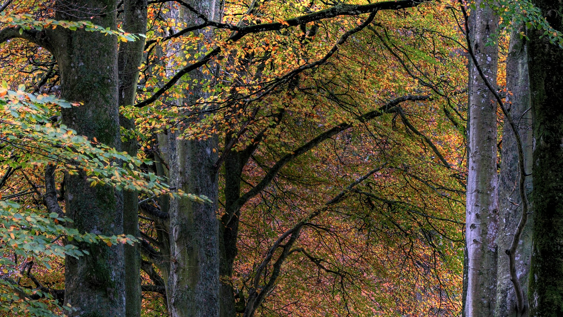 02814c53-ff59-42ec-96f3-42aa75af31a5