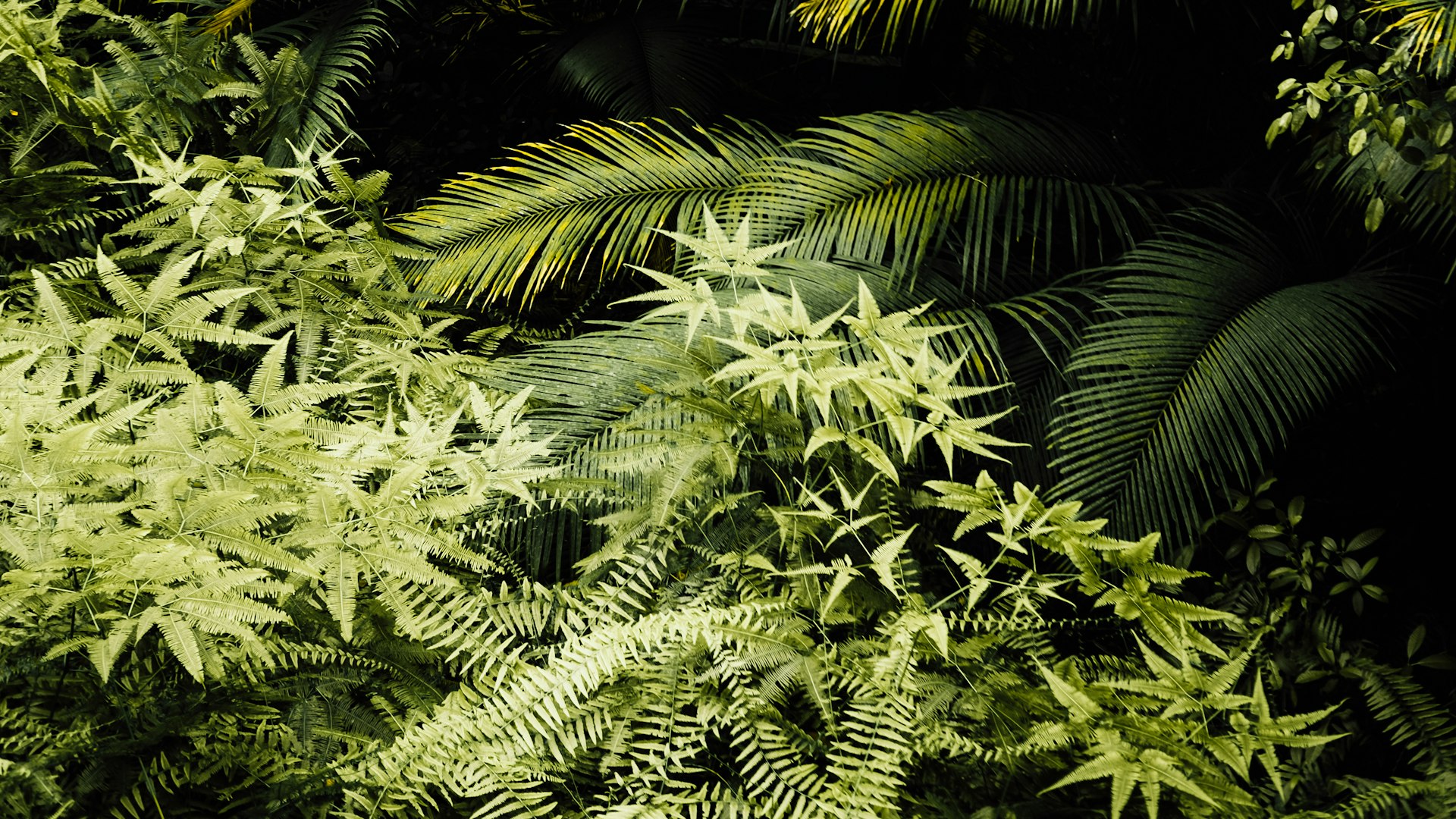 e004ed20-7c45-4add-9ccb-3bdb86aa18f4